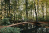 Brug geinspireerd op oorspronkelijk ontwerp van bruggen op Landgoed Windeheim