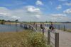 Zaligebrug van NEXT architects door Jeroen Bosch